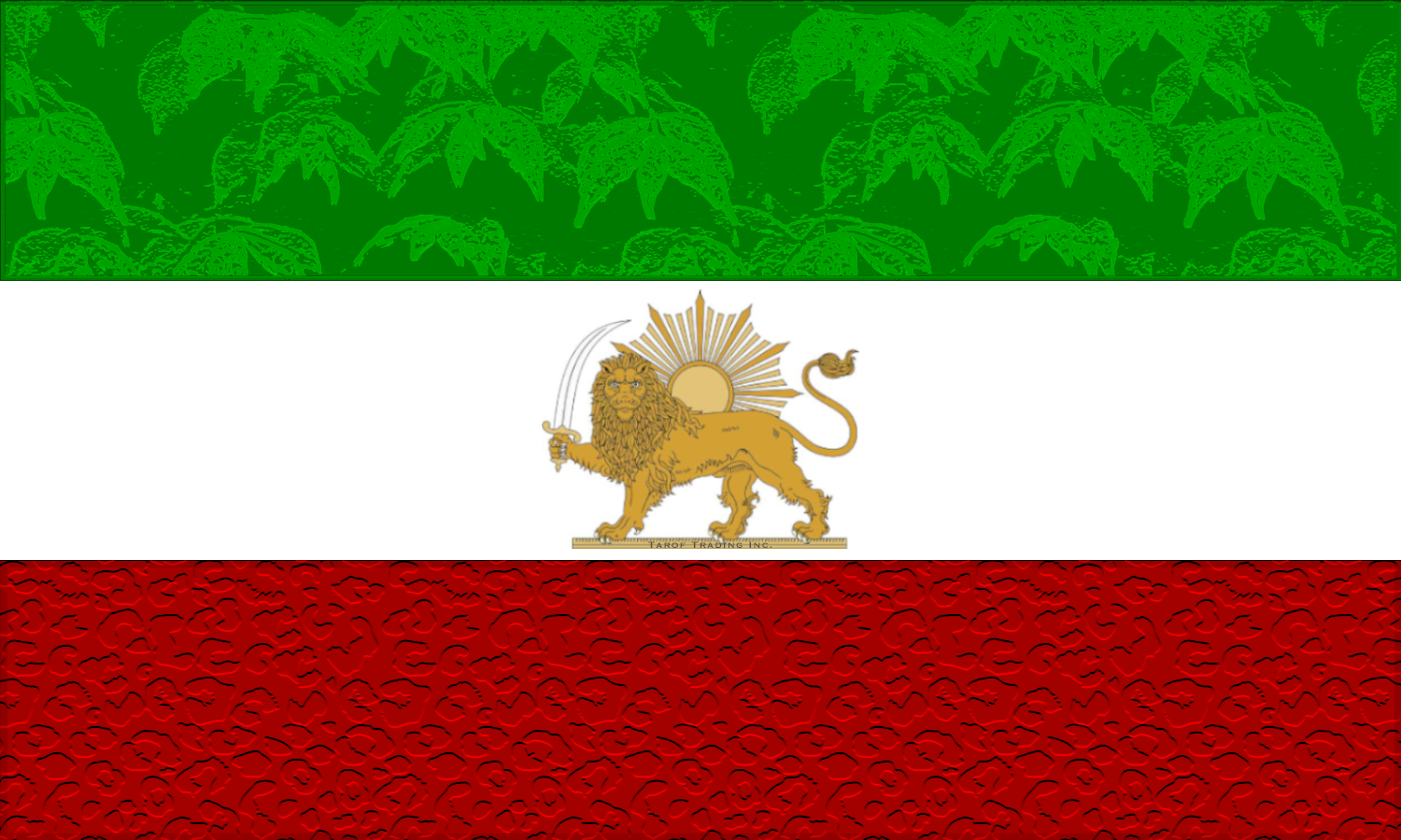 Finglish App Logo - Lion and Sun emblem